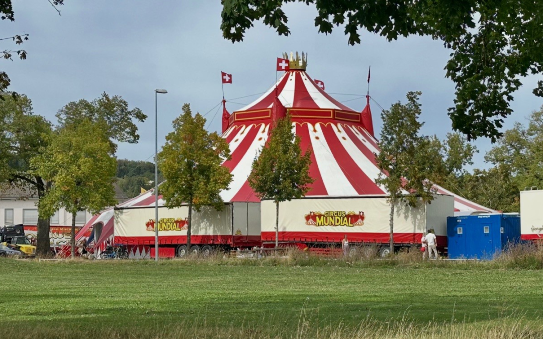 Was für ein Zirkus
